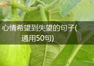 心情希望到失望的句子(通用50句)