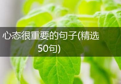 心态很重要的句子(精选50句)
