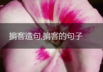掮客造句,掮客的句子