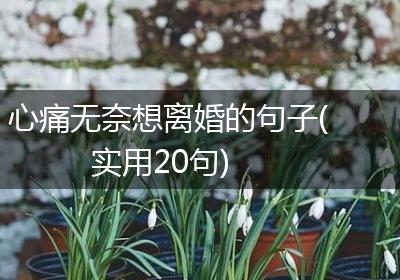 心痛无奈想离婚的句子(实用20句)