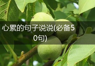 心累的句子说说(必备50句)