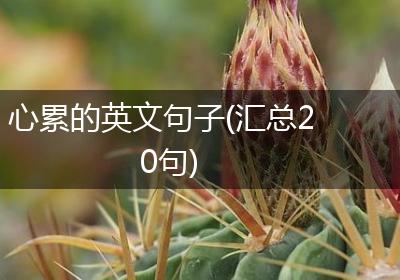 心累的英文句子(汇总20句)