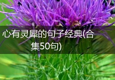心有灵犀的句子经典(合集50句)