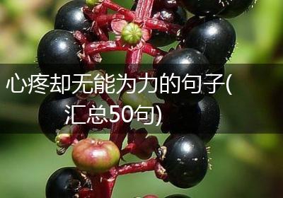 心疼却无能为力的句子(汇总50句)