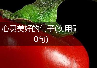 心灵美好的句子(实用50句)