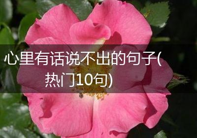 心里有话说不出的句子(热门10句)