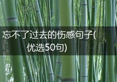 忘不了过去的伤感句子(优选50句)