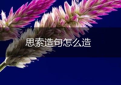 思索造句怎么造