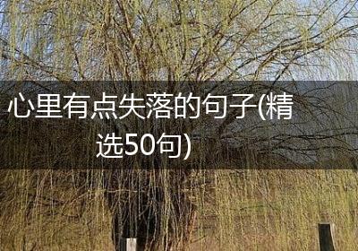 心里有点失落的句子(精选50句)