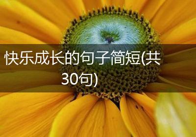 快乐成长的句子简短(共30句)