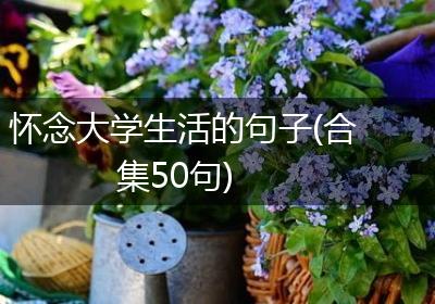 怀念大学生活的句子(合集50句)