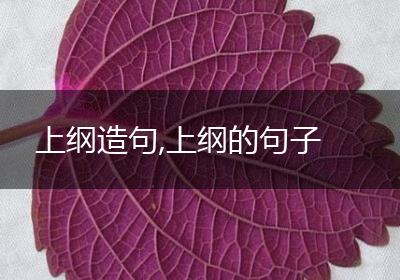 上纲造句,上纲的句子