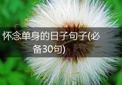 怀念单身的日子句子(必备30句)