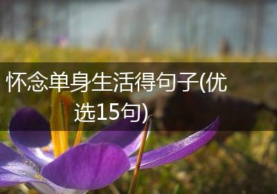 怀念单身生活得句子(优选15句)