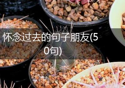 怀念过去的句子朋友(50句)
