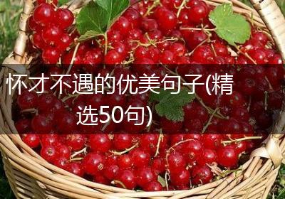 怀才不遇的优美句子(精选50句)