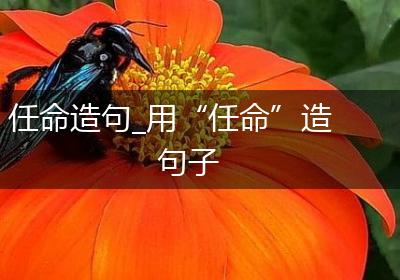 任命造句_用“任命”造句子