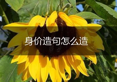身价造句怎么造