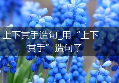 上下其手造句_用“上下其手”造句子