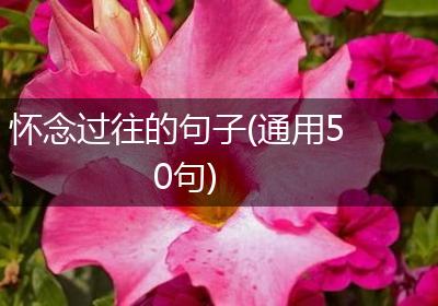 怀念过往的句子(通用50句)