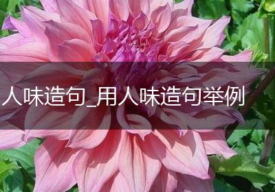 人味造句_用人味造句举例