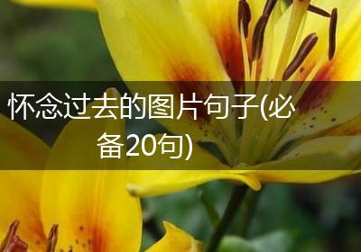 怀念过去的图片句子(必备20句)