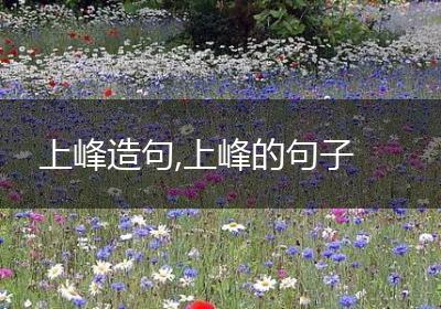 上峰造句,上峰的句子
