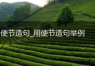 使节造句_用使节造句举例