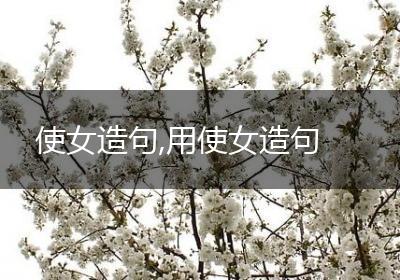 使女造句,用使女造句