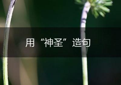 用“神圣”造句