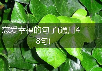 恋爱幸福的句子(通用48句)