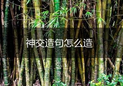 神交造句怎么造