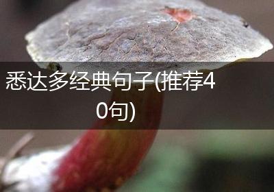悉达多经典句子(推荐40句)