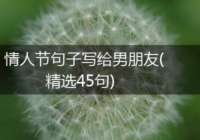 情人节句子写给男朋友(精选45句)