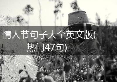 情人节句子大全英文版(热门47句)
