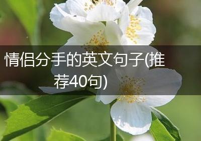 情侣分手的英文句子(推荐40句)