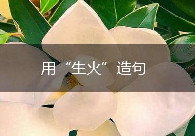 用“生火”造句