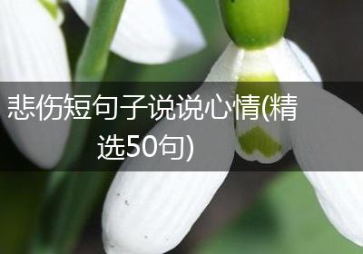 悲伤短句子说说心情(精选50句)