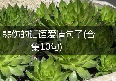 悲伤的话语爱情句子(合集10句)