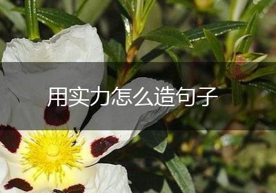 用实力怎么造句子