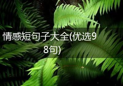 情感短句子大全(优选98句)