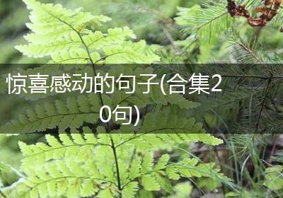 惊喜感动的句子(合集20句)