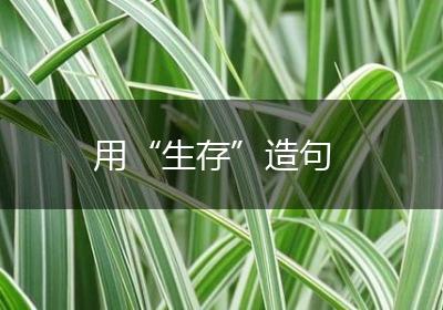 用“生存”造句