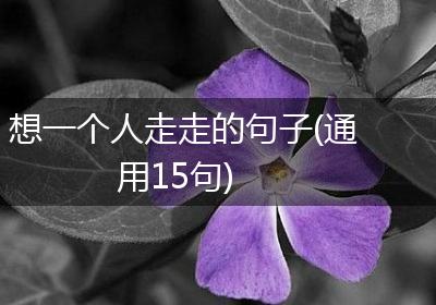 想一个人走走的句子(通用15句)