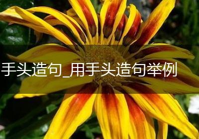 手头造句_用手头造句举例