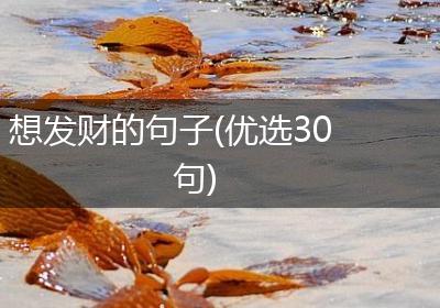 想发财的句子(优选30句)