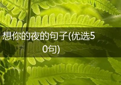 想你的夜的句子(优选50句)