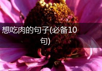 想吃肉的句子(必备10句)
