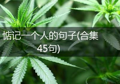 惦记一个人的句子(合集45句)