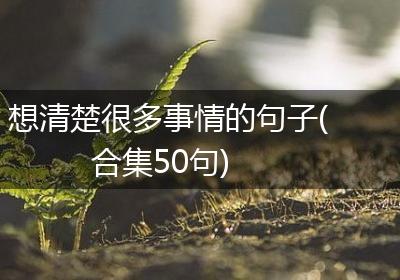 想清楚很多事情的句子(合集50句)